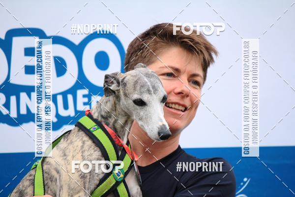 Buy your photos of the eventKaluan� Trail e Canicross - Irisphoto on Fotop