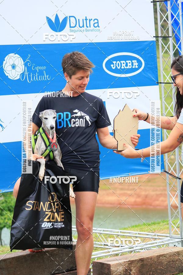 Buy your photos of the eventKaluan� Trail e Canicross - Irisphoto on Fotop