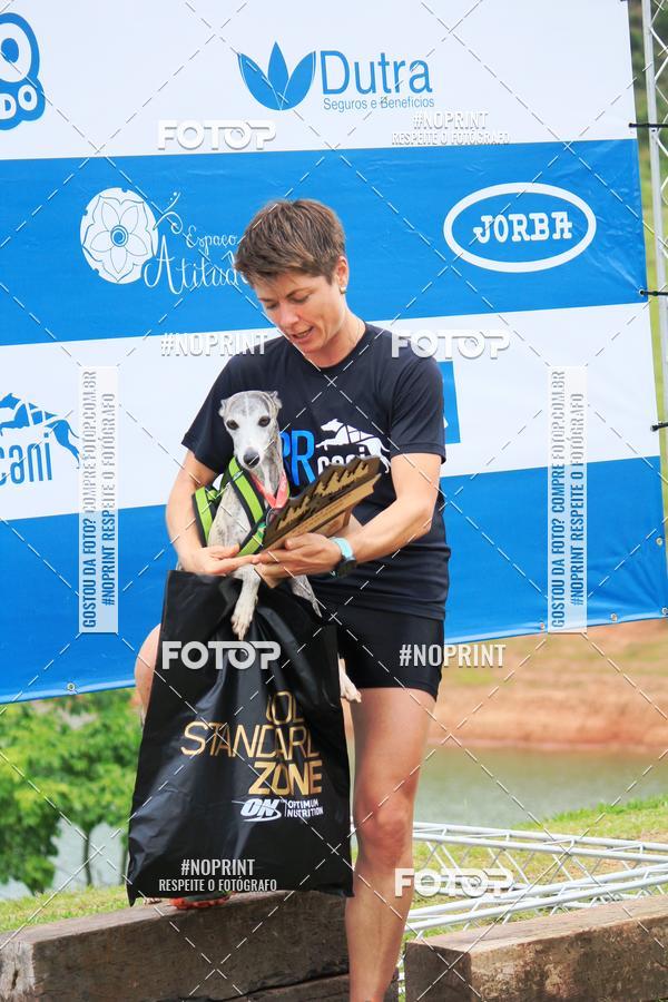 Buy your photos of the eventKaluan� Trail e Canicross - Irisphoto on Fotop