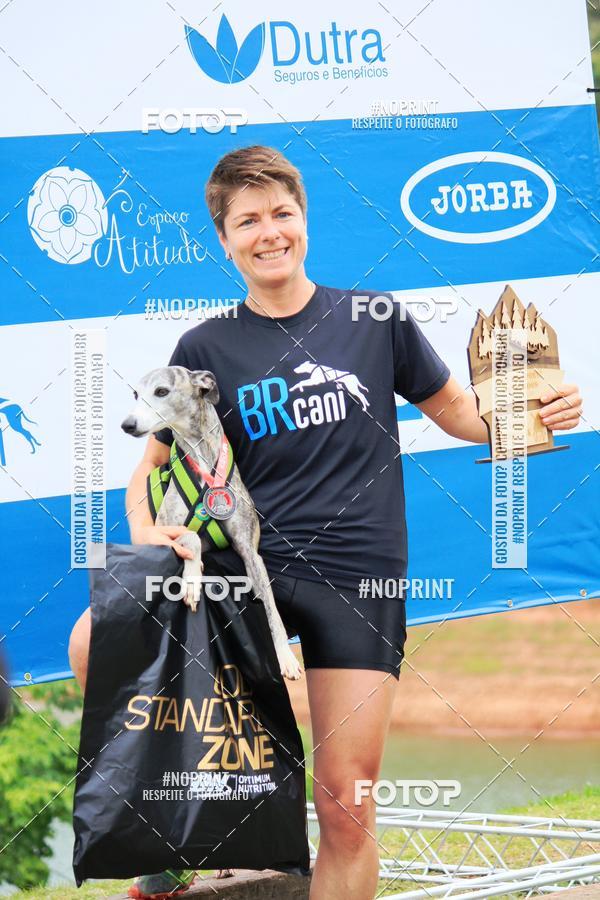 Buy your photos of the eventKaluan� Trail e Canicross - Irisphoto on Fotop