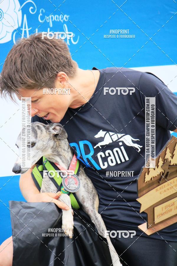 Buy your photos of the eventKaluan� Trail e Canicross - Irisphoto on Fotop