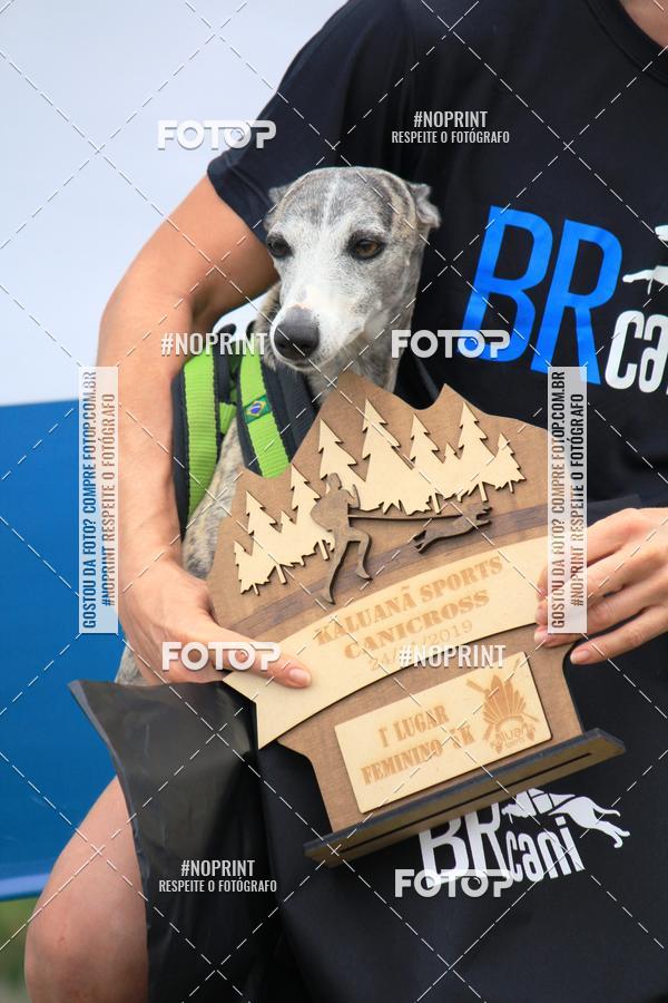 Buy your photos of the eventKaluan� Trail e Canicross - Irisphoto on Fotop