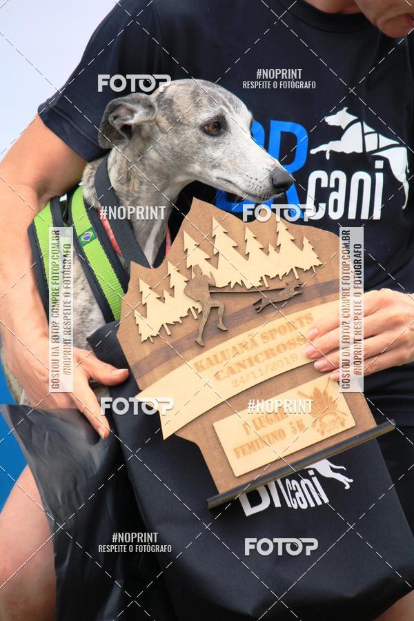 Buy your photos of the eventKaluan� Trail e Canicross - Irisphoto on Fotop