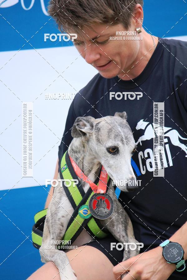 Buy your photos of the eventKaluan� Trail e Canicross - Irisphoto on Fotop