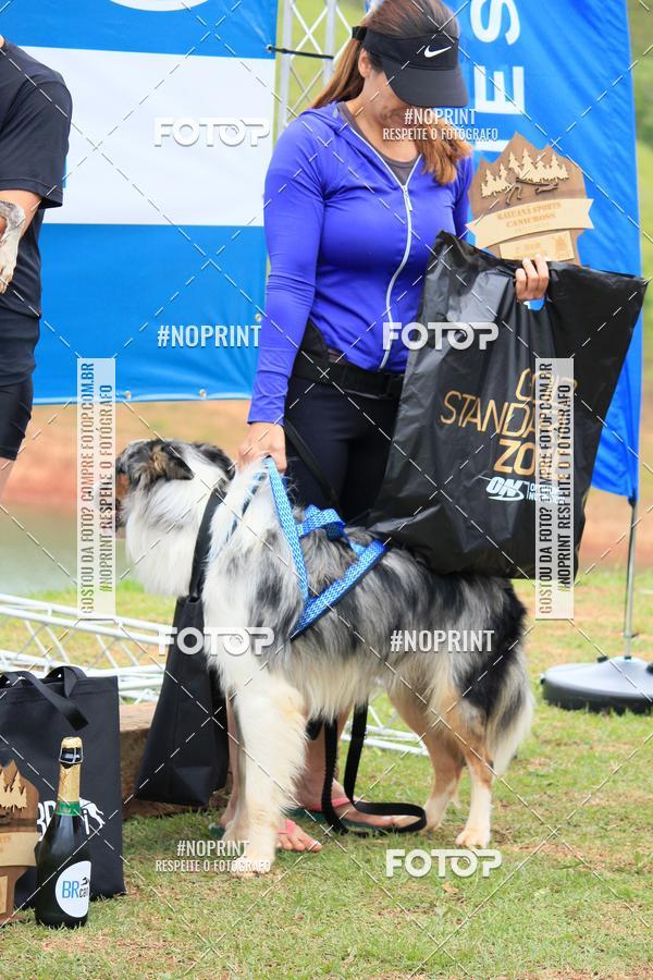 Buy your photos of the eventKaluan� Trail e Canicross - Irisphoto on Fotop