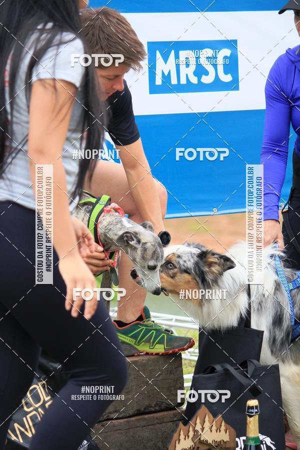 Buy your photos of the eventKaluan� Trail e Canicross - Irisphoto on Fotop