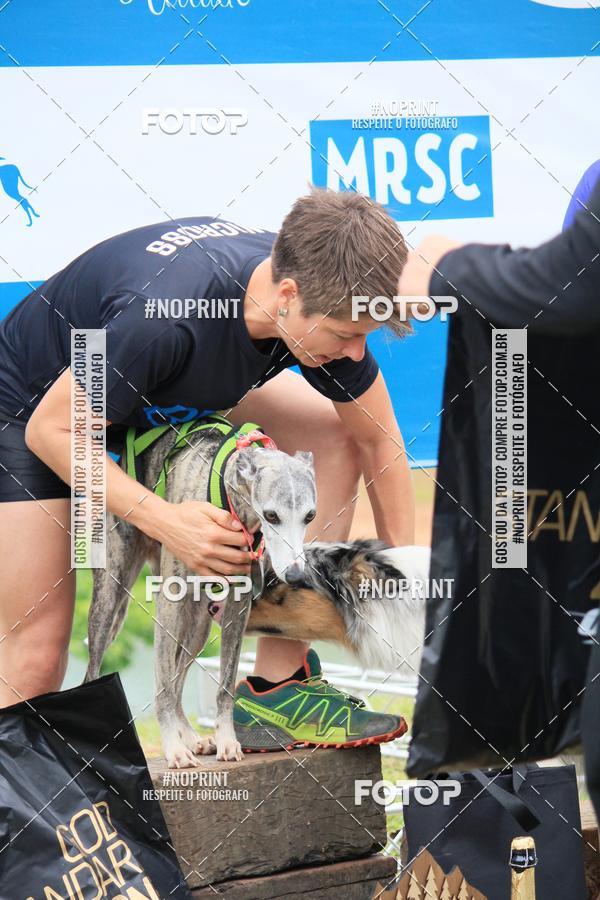 Buy your photos of the eventKaluan� Trail e Canicross - Irisphoto on Fotop