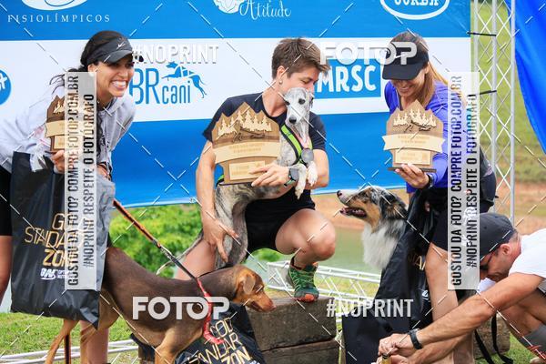 Buy your photos of the eventKaluan� Trail e Canicross - Irisphoto on Fotop