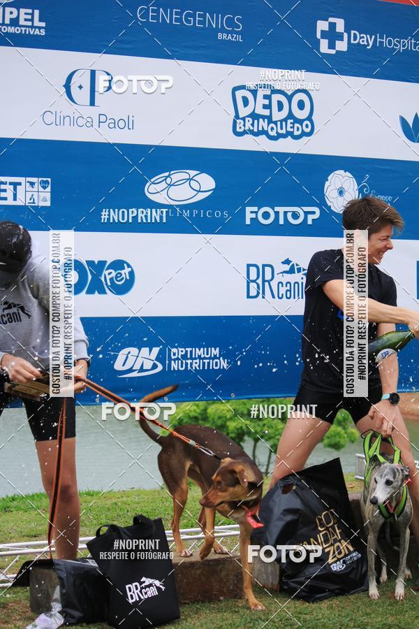 Buy your photos of the eventKaluan� Trail e Canicross - Irisphoto on Fotop