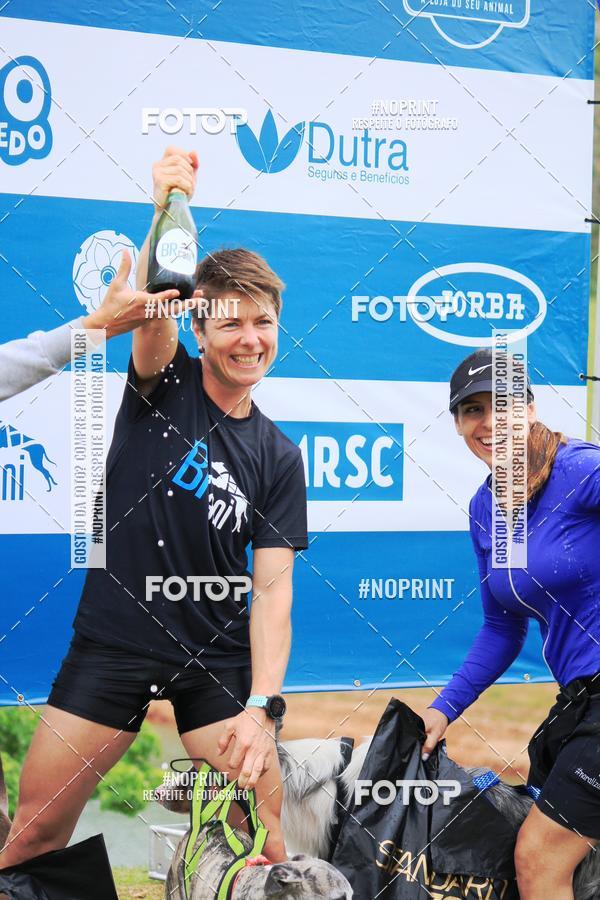 Buy your photos of the eventKaluan� Trail e Canicross - Irisphoto on Fotop