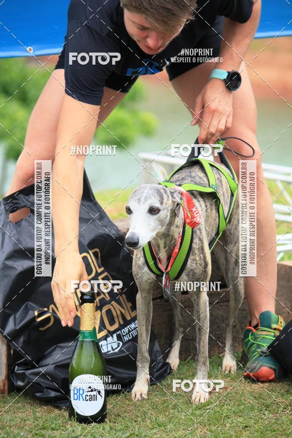 Buy your photos of the eventKaluan� Trail e Canicross - Irisphoto on Fotop