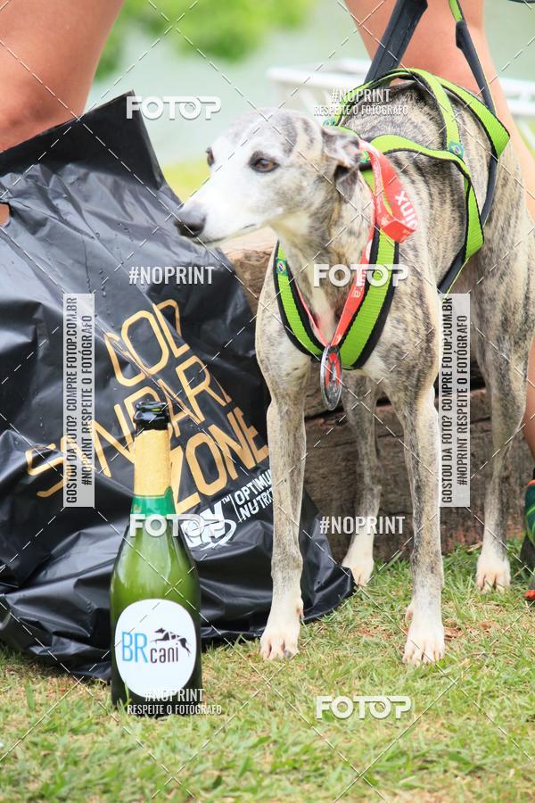 Buy your photos of the eventKaluan� Trail e Canicross - Irisphoto on Fotop