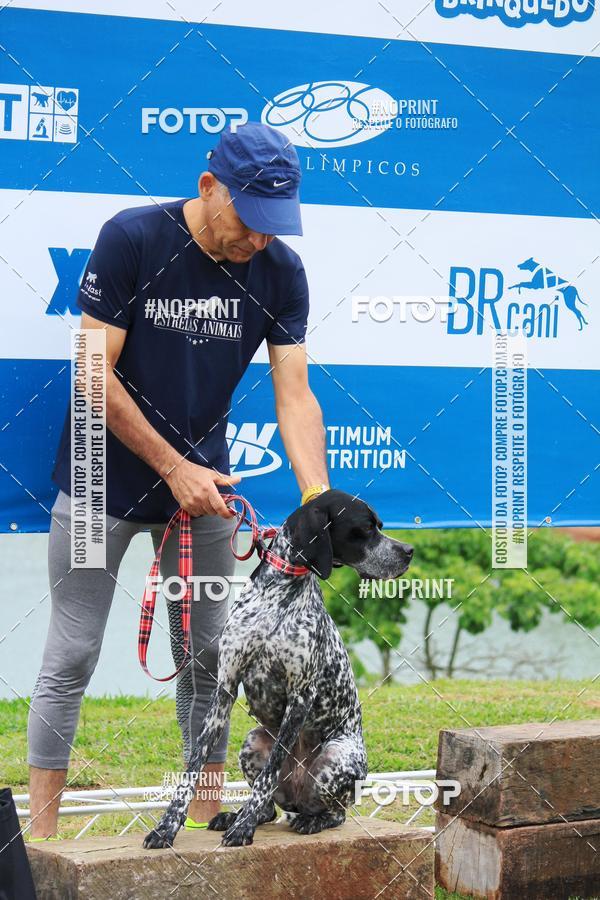 Buy your photos of the eventKaluan� Trail e Canicross - Irisphoto on Fotop