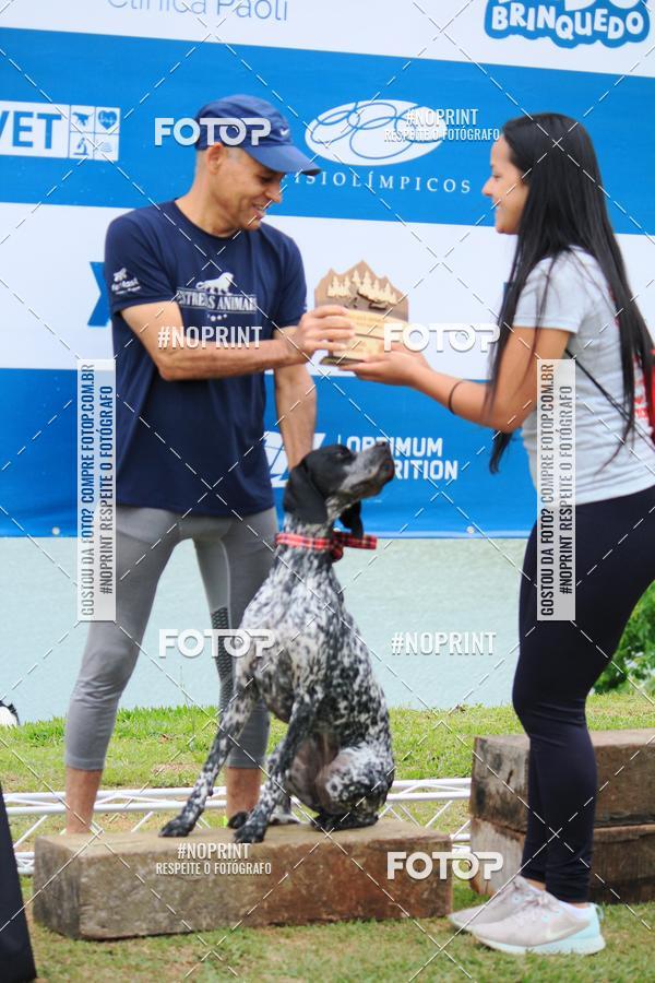 Buy your photos of the eventKaluan� Trail e Canicross - Irisphoto on Fotop