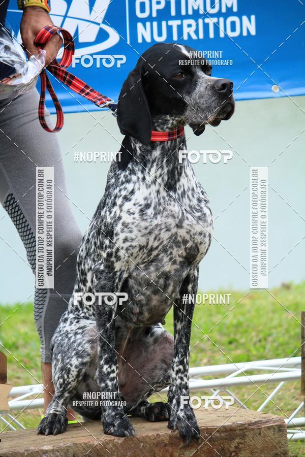 Buy your photos of the eventKaluan� Trail e Canicross - Irisphoto on Fotop