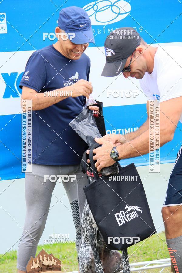 Buy your photos of the eventKaluan� Trail e Canicross - Irisphoto on Fotop