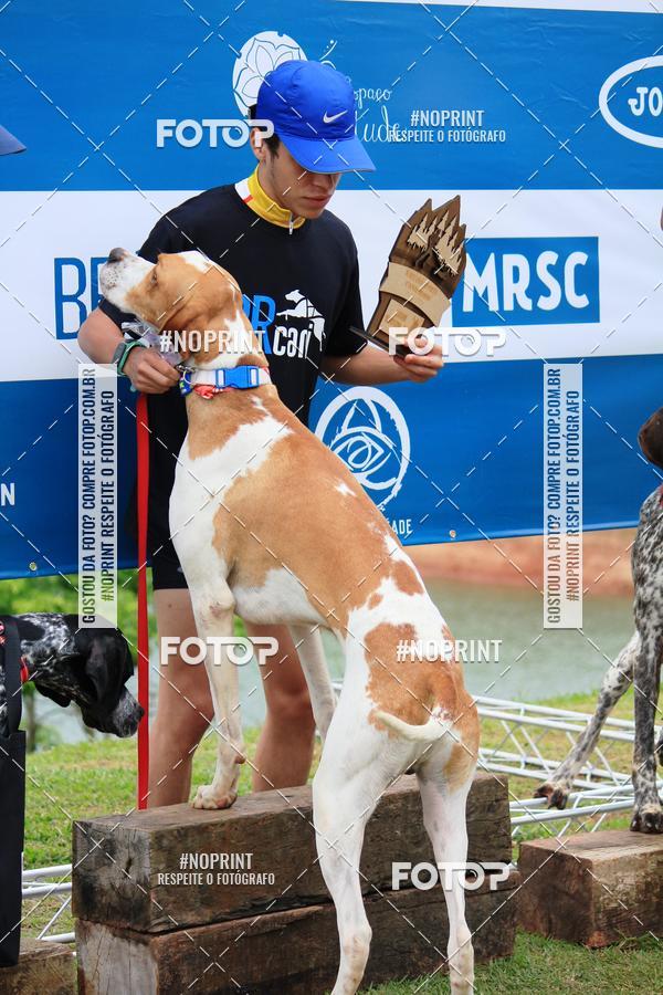 Buy your photos of the eventKaluan� Trail e Canicross - Irisphoto on Fotop