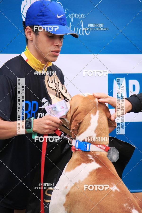 Buy your photos of the eventKaluan� Trail e Canicross - Irisphoto on Fotop