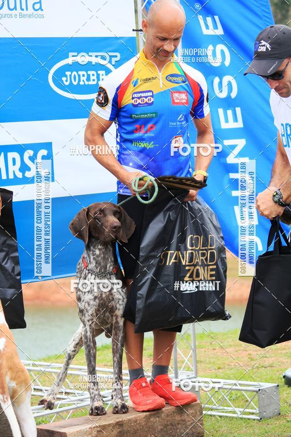 Buy your photos of the eventKaluan� Trail e Canicross - Irisphoto on Fotop