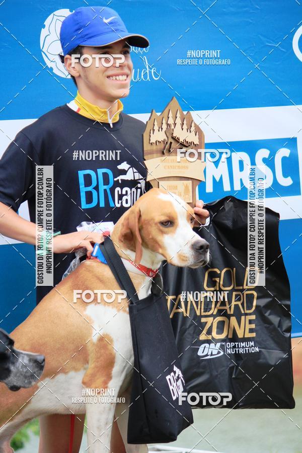 Buy your photos of the eventKaluan� Trail e Canicross - Irisphoto on Fotop