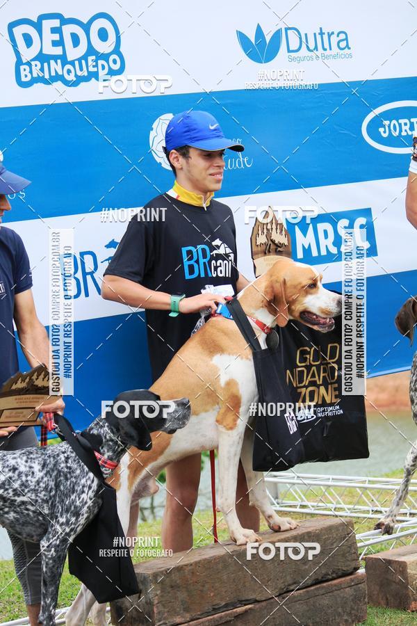 Buy your photos of the eventKaluan� Trail e Canicross - Irisphoto on Fotop