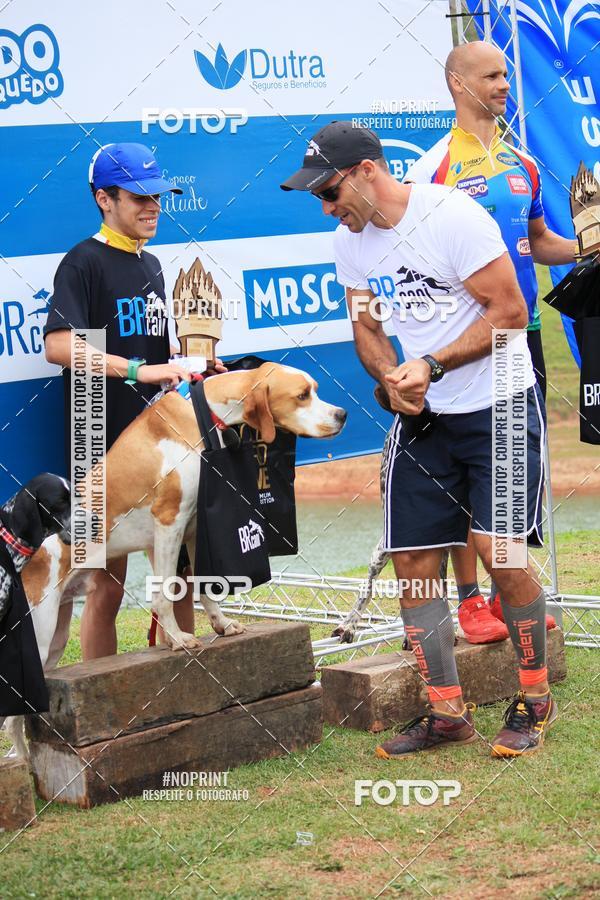 Buy your photos of the eventKaluan� Trail e Canicross - Irisphoto on Fotop