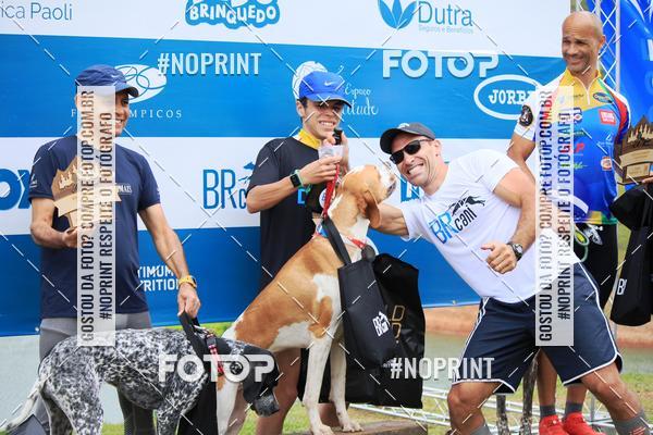 Buy your photos of the eventKaluan� Trail e Canicross - Irisphoto on Fotop