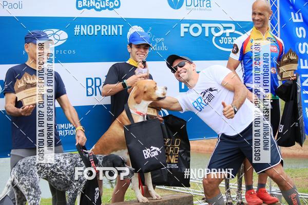 Buy your photos of the eventKaluan� Trail e Canicross - Irisphoto on Fotop