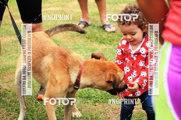 Buy your photos of the eventKaluan� Trail e Canicross - Irisphoto on Fotop