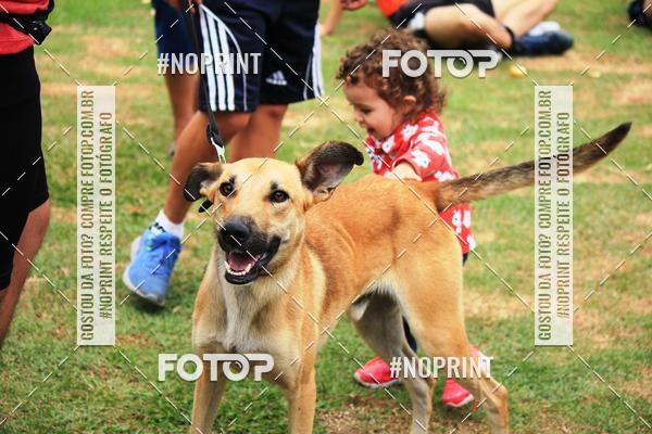 Buy your photos of the eventKaluan� Trail e Canicross - Irisphoto on Fotop