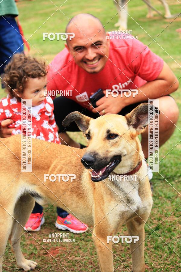 Compre as suas fotos do eventoKaluan� Trail e Canicross - Irisphoto no Fotop