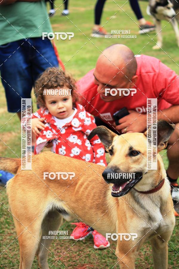 Compre as suas fotos do eventoKaluan� Trail e Canicross - Irisphoto no Fotop