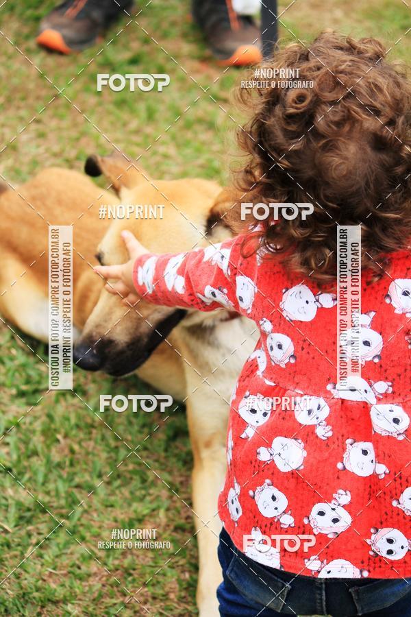 Compre as suas fotos do eventoKaluan� Trail e Canicross - Irisphoto no Fotop