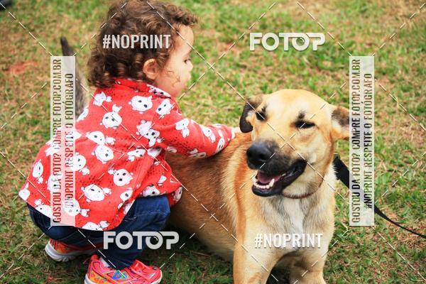 Compre as suas fotos do eventoKaluan� Trail e Canicross - Irisphoto no Fotop