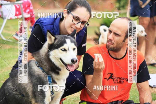 Compre as suas fotos do eventoKaluan� Trail e Canicross - Irisphoto no Fotop