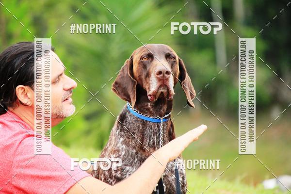 Compre as suas fotos do eventoKaluan� Trail e Canicross - Irisphoto no Fotop