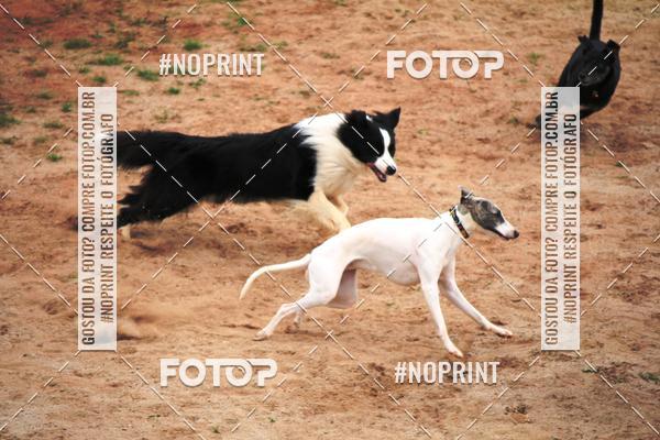 Compre as suas fotos do eventoKaluan� Trail e Canicross - Irisphoto no Fotop