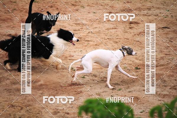 Compre as suas fotos do eventoKaluan� Trail e Canicross - Irisphoto no Fotop