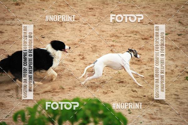 Compre as suas fotos do eventoKaluan� Trail e Canicross - Irisphoto no Fotop