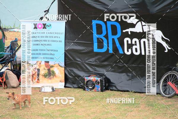 Buy your photos of the eventKaluan� Trail e Canicross - Irisphoto on Fotop