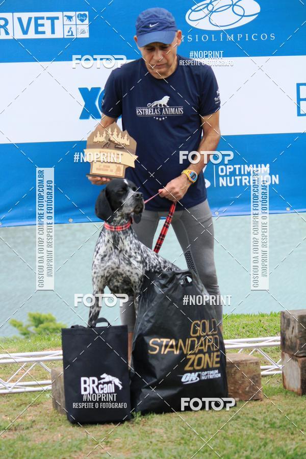 Buy your photos of the eventKaluan� Trail e Canicross - Irisphoto on Fotop