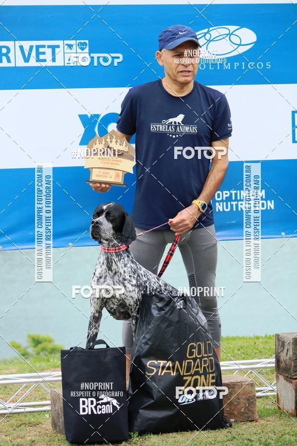 Buy your photos of the eventKaluan� Trail e Canicross - Irisphoto on Fotop