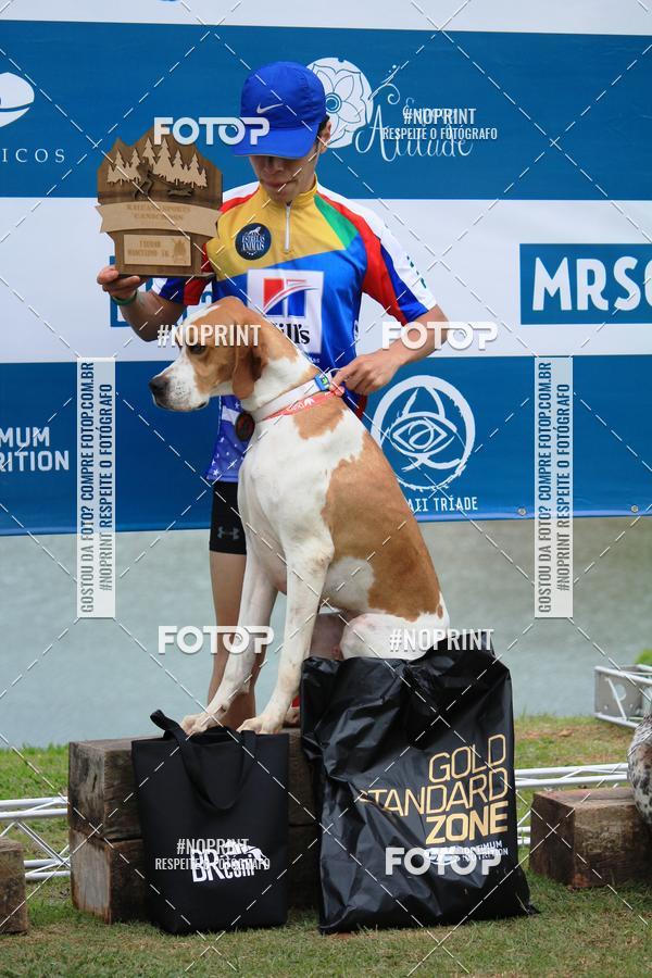 Buy your photos of the eventKaluan� Trail e Canicross - Irisphoto on Fotop