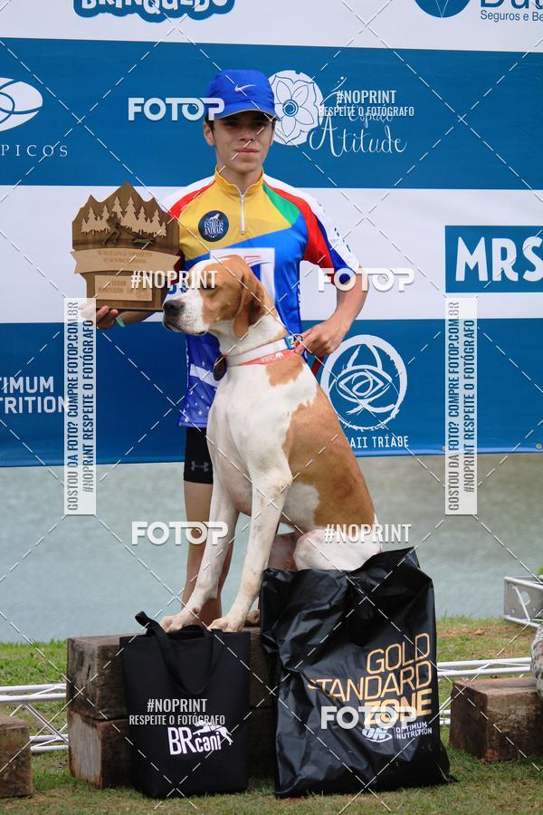 Buy your photos of the eventKaluan� Trail e Canicross - Irisphoto on Fotop