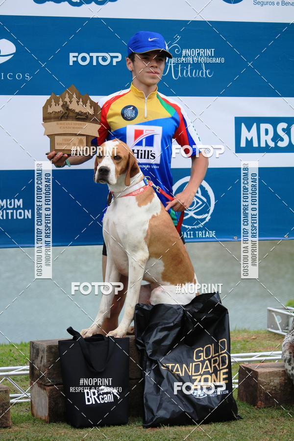 Buy your photos of the eventKaluan� Trail e Canicross - Irisphoto on Fotop