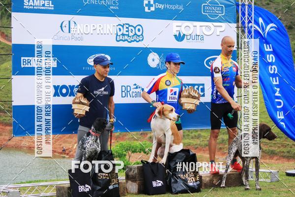 Buy your photos of the eventKaluan� Trail e Canicross - Irisphoto on Fotop