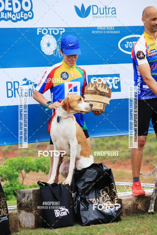 Buy your photos of the eventKaluan� Trail e Canicross - Irisphoto on Fotop