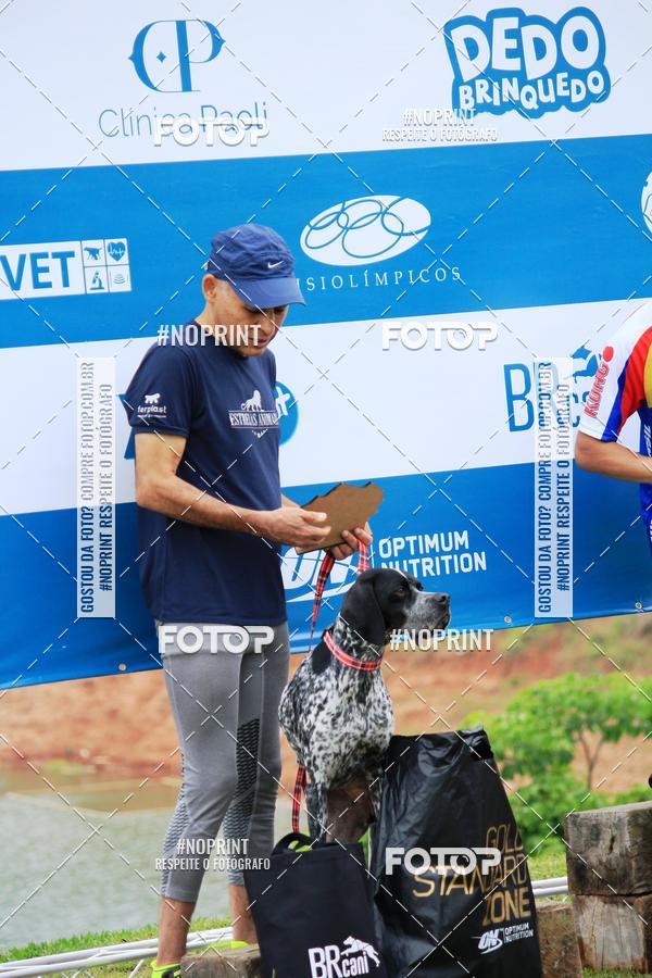 Buy your photos of the eventKaluan� Trail e Canicross - Irisphoto on Fotop