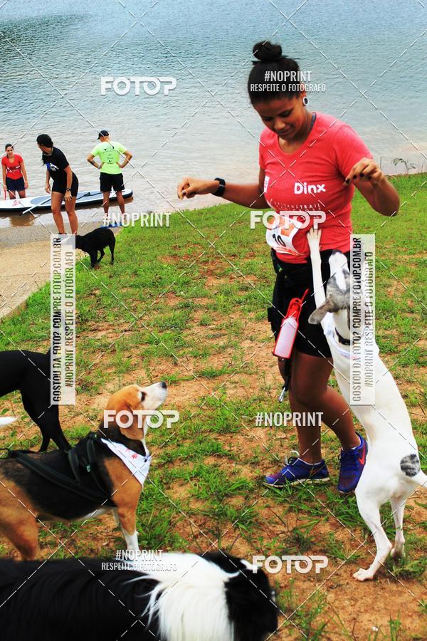 Buy your photos of the eventKaluan� Trail e Canicross - Irisphoto on Fotop