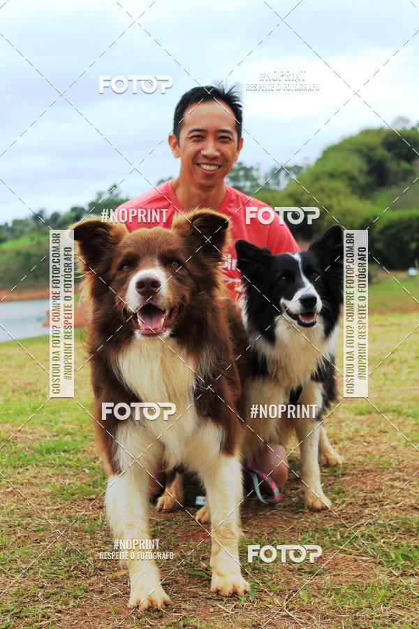 Buy your photos of the eventKaluan� Trail e Canicross - Irisphoto on Fotop